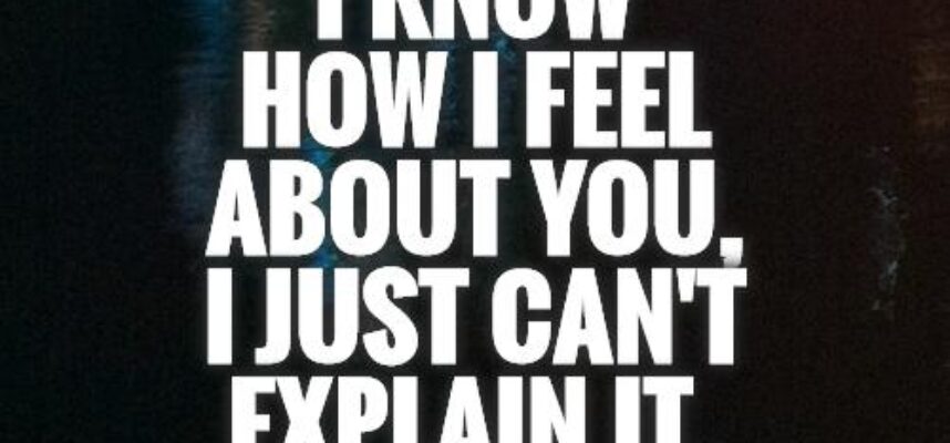 i-know-how-i-feel-about-you-i-just-cant-explain-it-quote-1[1]