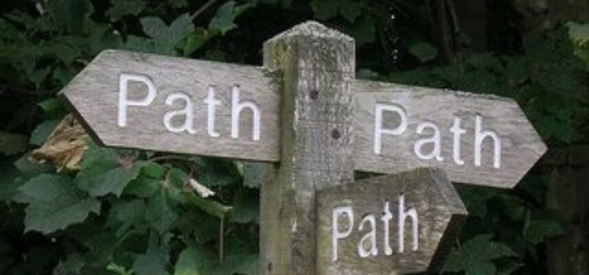 which-path[1]